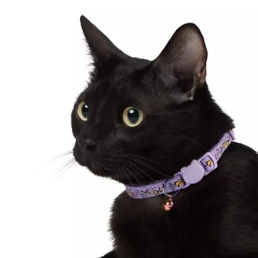 Whisker City Purple Exclusive Butterfly Print Easy Release Adult Cat Collar NWT